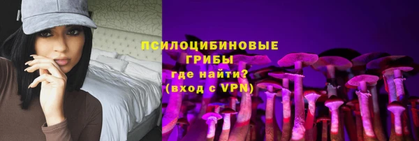 прущие грибы Абаза