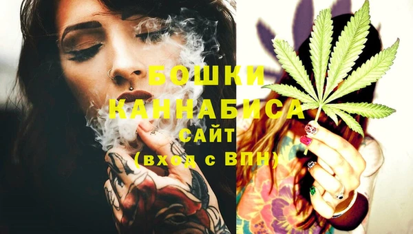 прущие грибы Абаза