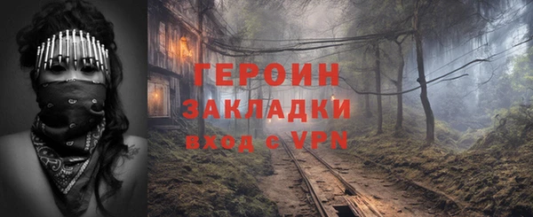 прущие грибы Абаза