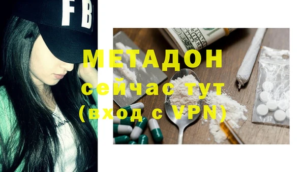 прущие грибы Абаза
