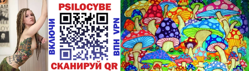 Псилоцибиновые грибы Psilocybine cubensis  Беломорск 